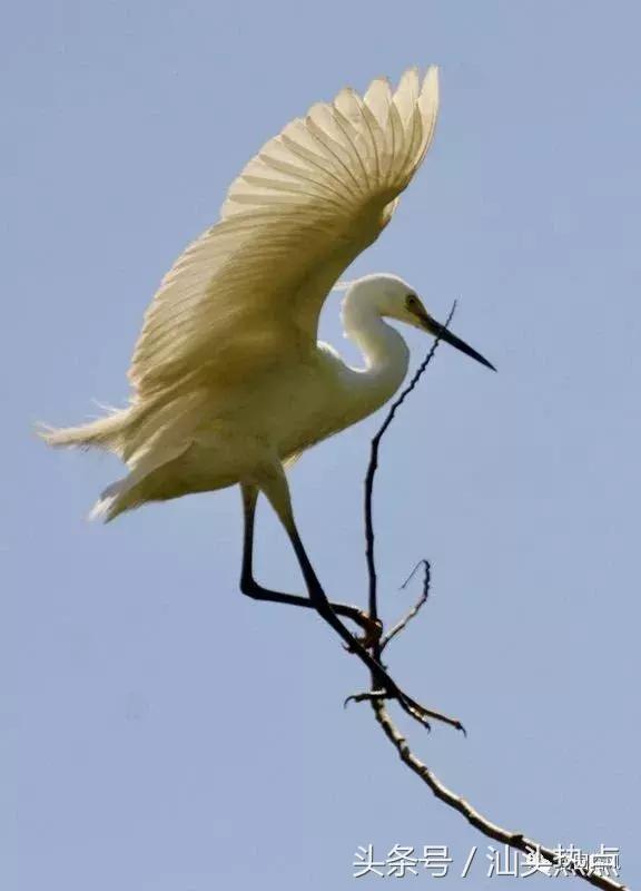 莲下这里竟藏了个神奇的“候鸟客栈”！好多人还不知道……