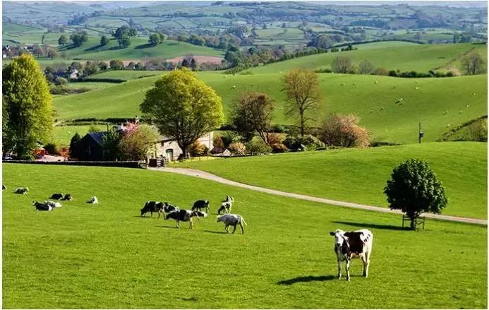 澳大利亚移民的十大忠告,有移民澳大利亚的机会要不要移民