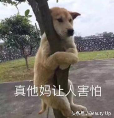 旅游攻略及费用清单表,收下这份旅游爆款清单