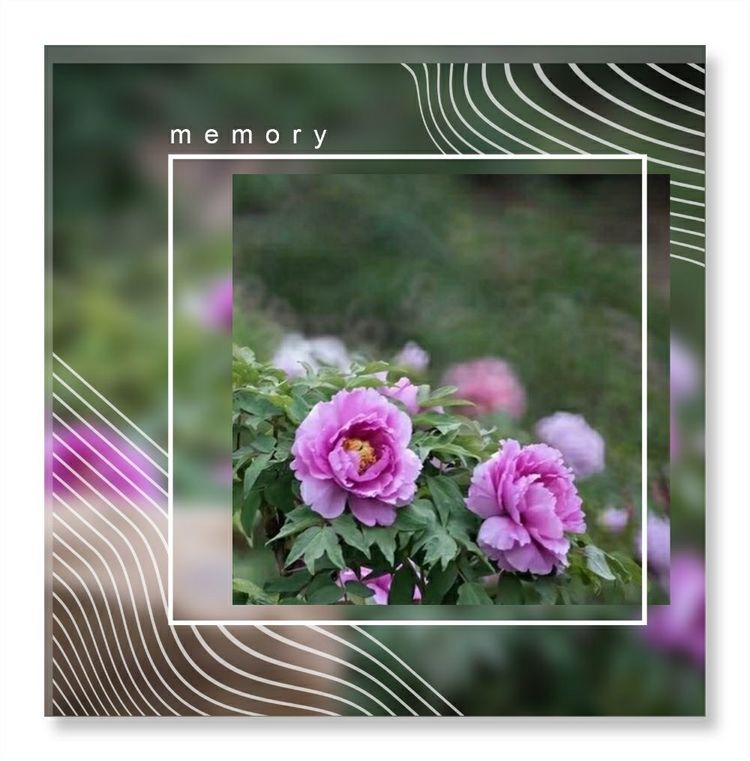 《洞天春》色几多情——（18—7·同韵）