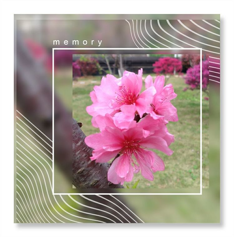 《洞天春》色几多情——（18—7·同韵）