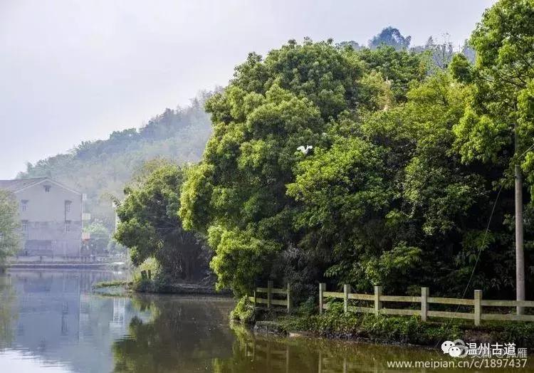瑞安“千岛湖”，美丽水乡石垟湖
