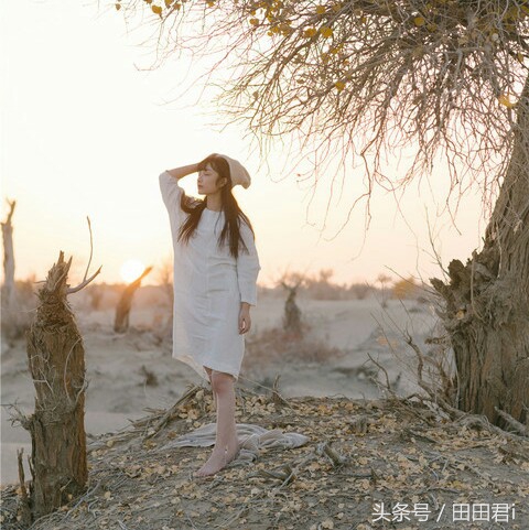 云音乐放歌,云音乐视频背景