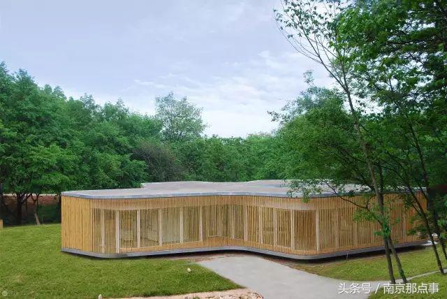 适合南京一日游的三十项免费景点,南京值得打卡的小众景点