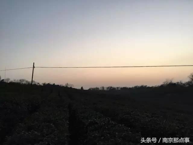 适合南京一日游的三十项免费景点,南京值得打卡的小众景点