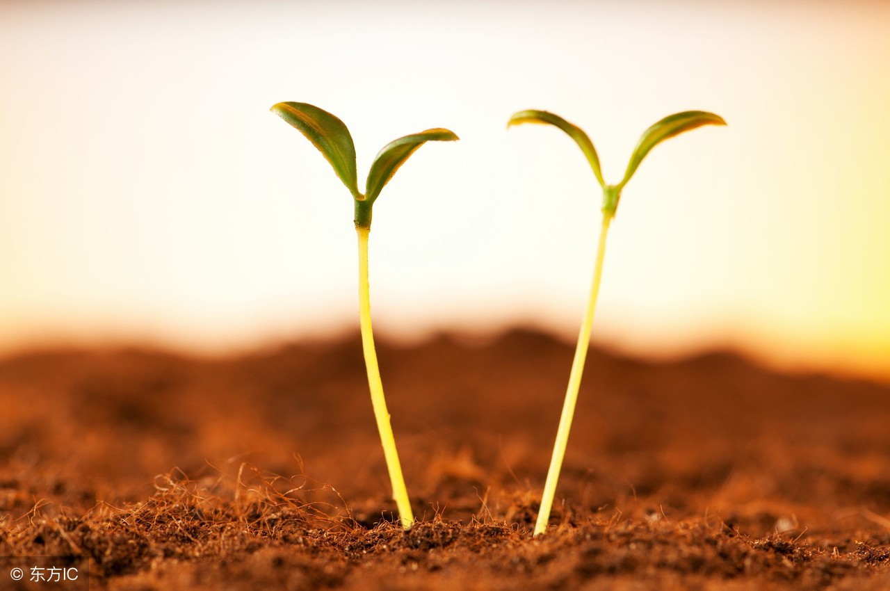 史上最全的强势选股公式大全,史上最厉害的选股绝招