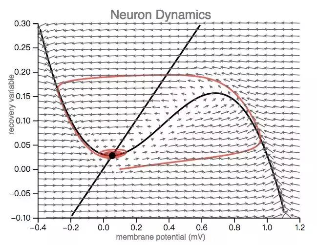 深度神经网络学习,简述人工神经网络的生物学基础