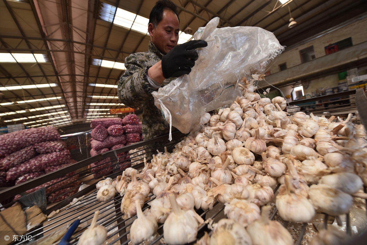 大蒜近期行情走势图是什么,2018年1月5日大蒜行情