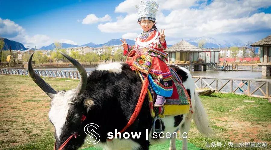 适合宅家一日游,适合宅在家旅游的景点