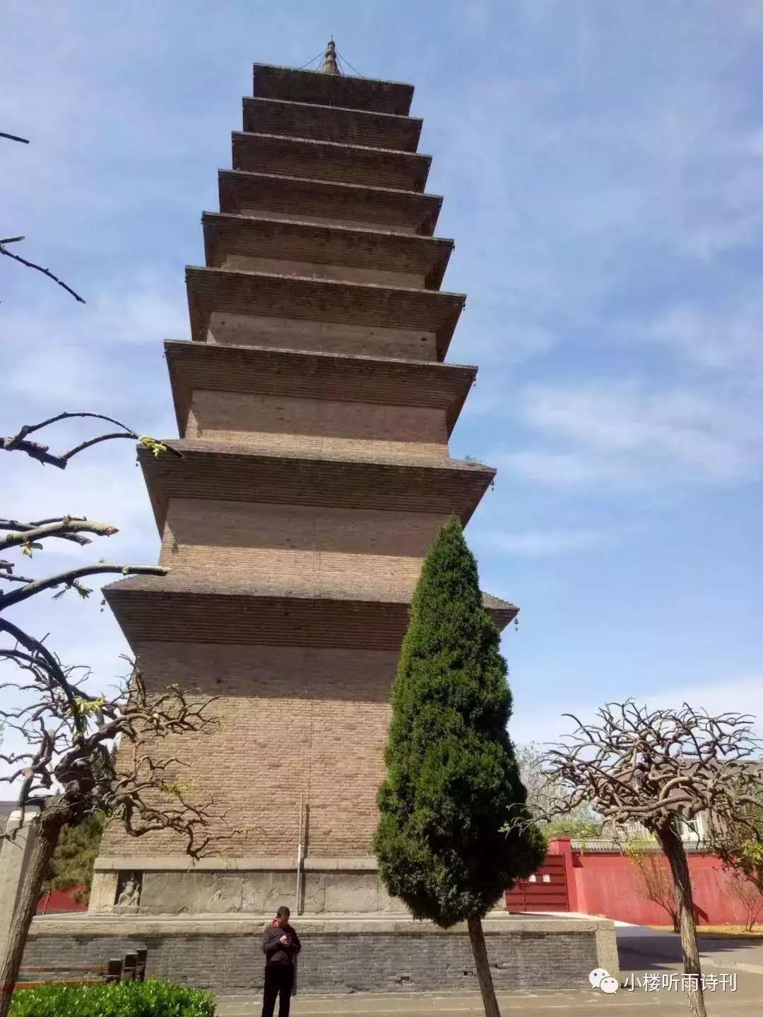 江岚书法视频全集,江岚书法作品