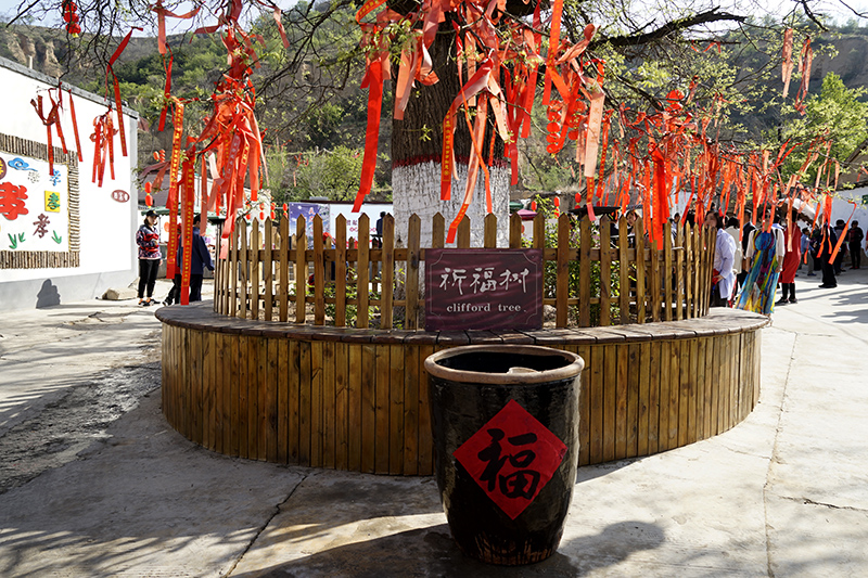 吉县春华秋实系列活动,山西临汾苹果迎丰收