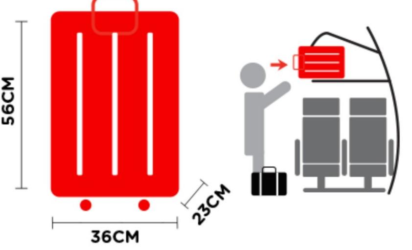 飞机行李怎样拿省钱,登机行李太多怎么办