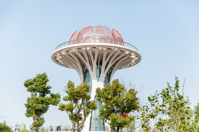 滁州花博园秋景,秋天滁州花博园图片