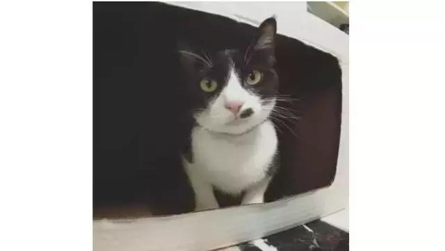 大痣旁边长小痣一定是癌变吗,最容易发生癌变的痣是哪种痣