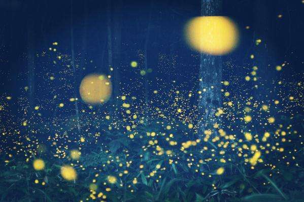 300首音频儿歌多多,儿歌100首音频自动播放