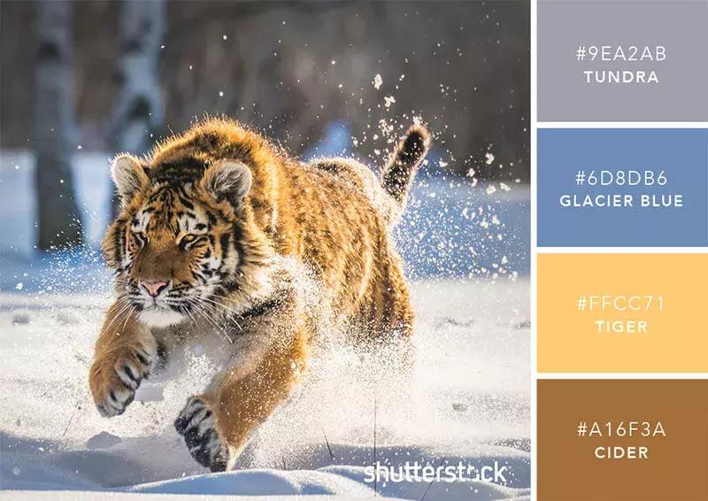 相见恨晚的色彩搭配,两种好看的颜色搭配