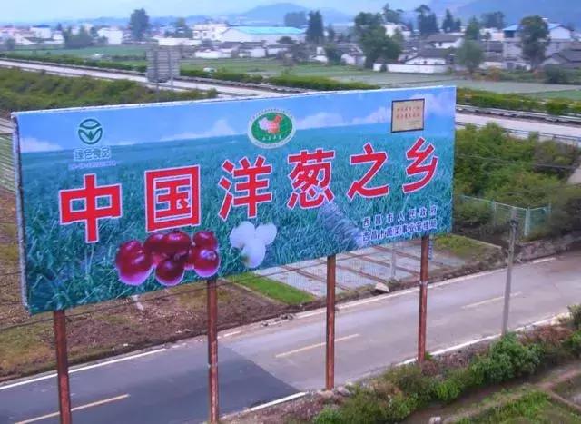 西昌20万吨洋葱在等待,与政府一起发力,别让洋葱相信眼泪!