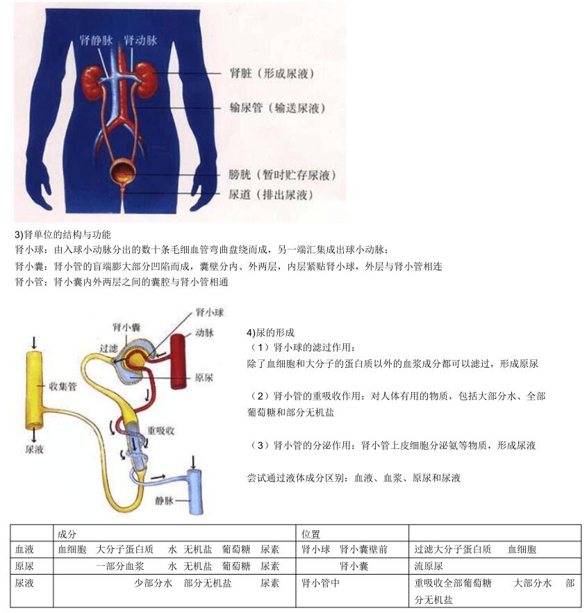 2018中考生物知识点总结（图文并茂），喜欢的朋友记得收藏或转发