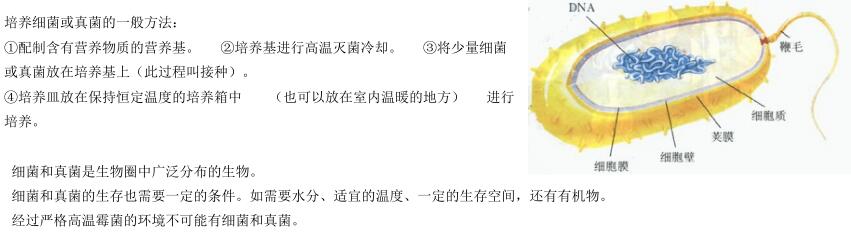 2018中考生物知识点总结（图文并茂），喜欢的朋友记得收藏或转发