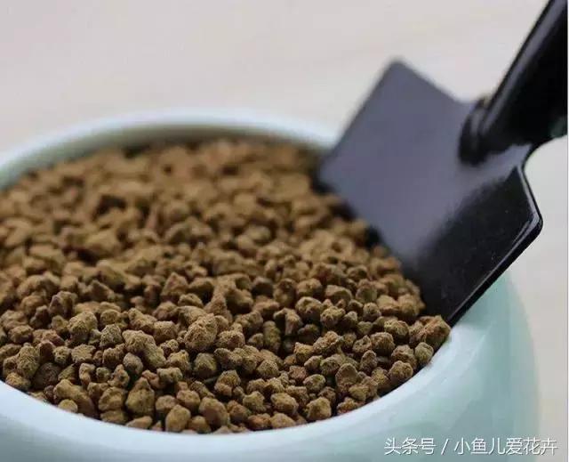 新手养肉肉最好用什么土,新手养肉配土