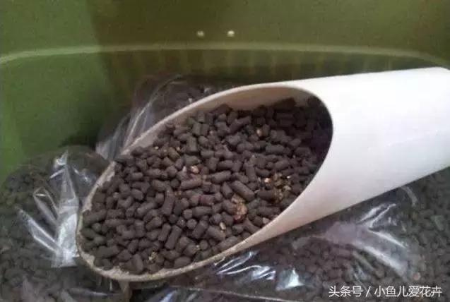 新手养肉肉最好用什么土,新手养肉配土