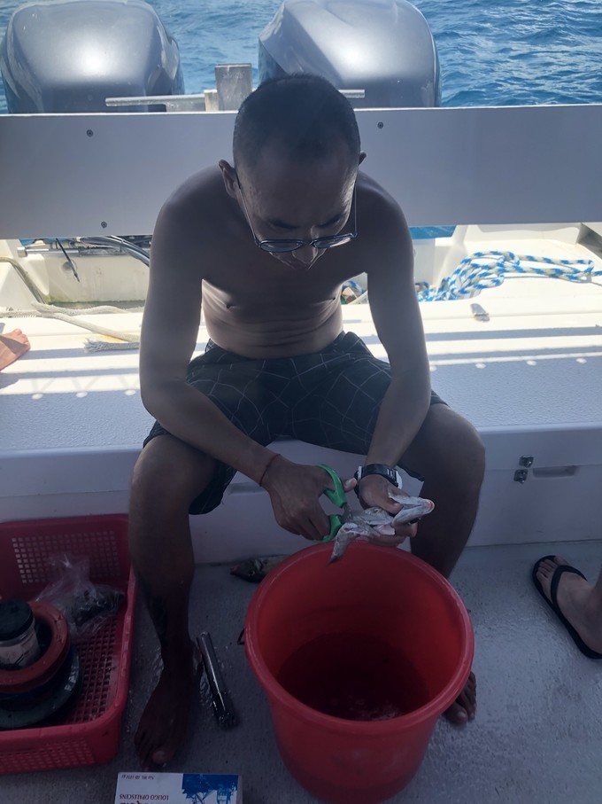 帕劳的海景风光给人美的享受,帕劳的海洋和沙滩风景图片