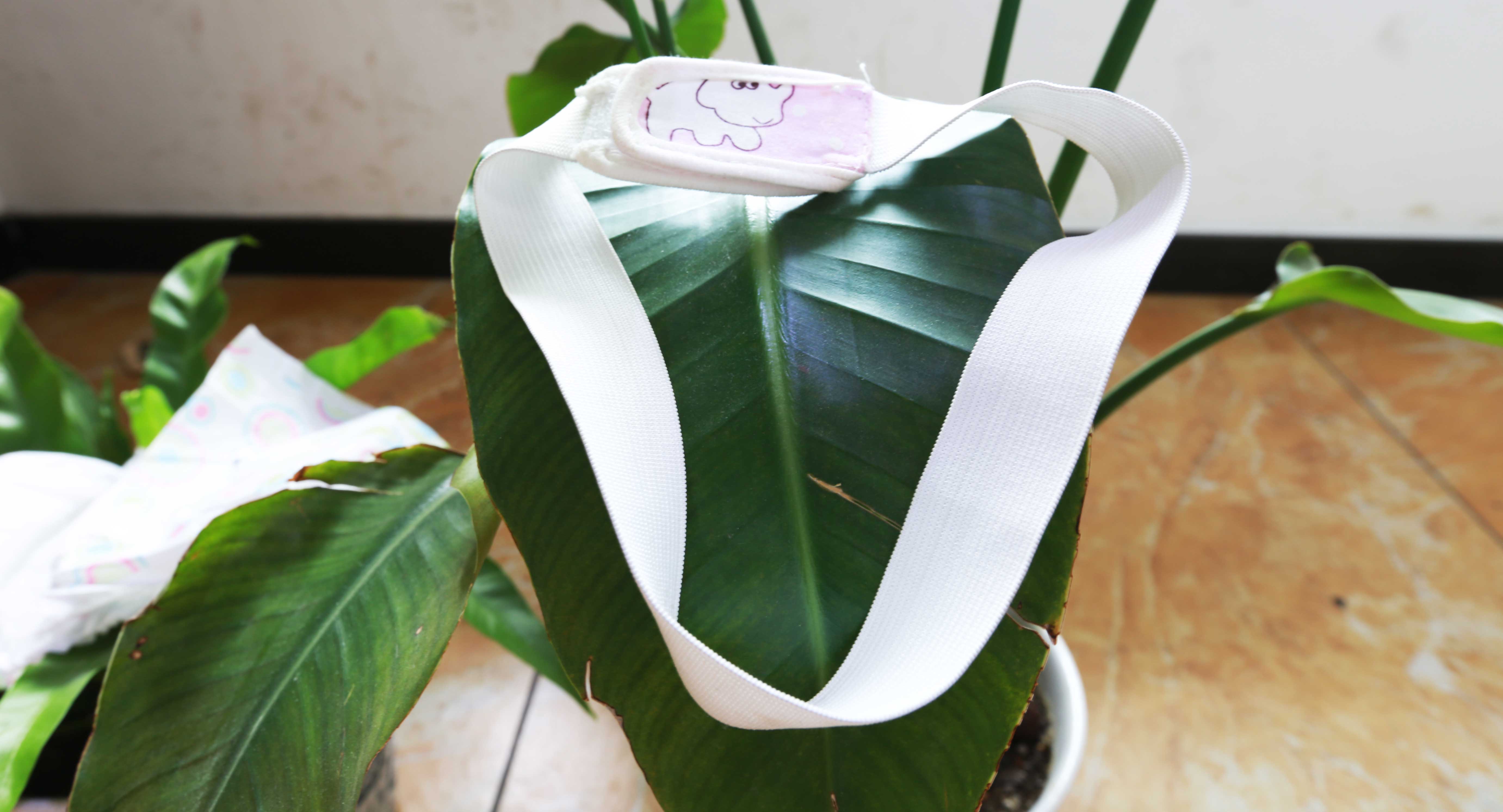 纸尿片纸尿裤,纸尿裤尿片拉拉裤初生婴儿怎么选