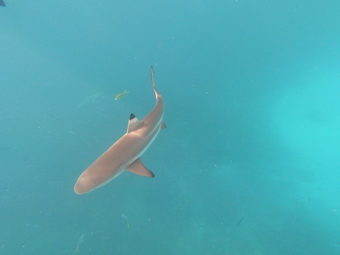 帕劳的海景风光给人美的享受,帕劳的海洋和沙滩风景图片