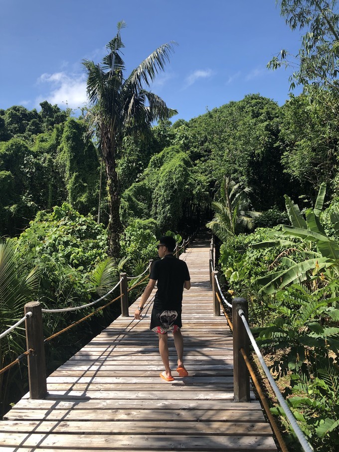 帕劳的海景风光给人美的享受,帕劳的海洋和沙滩风景图片