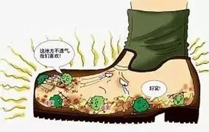 脚气反复发作难治愈试试这些方法,如何根除脚气一次性解决脚气烦恼