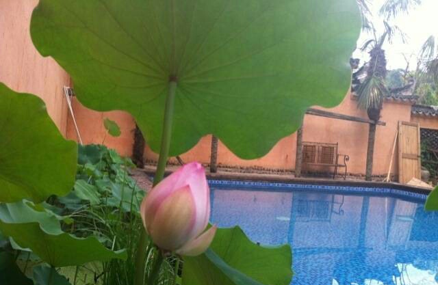 宏村张公馆：唯一能看到全村景色的民宿，住进明清300年的时光里