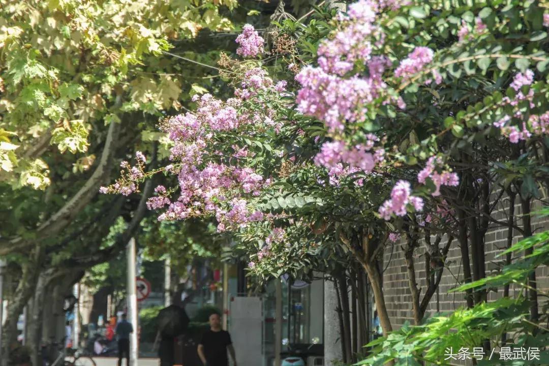 鎯充簡瑙ｆ垚閮戒汉姘戠敓娲诲幓鍝噷,浜嗚В鎴愰兘浜虹敓娲荤殑鍦版柟