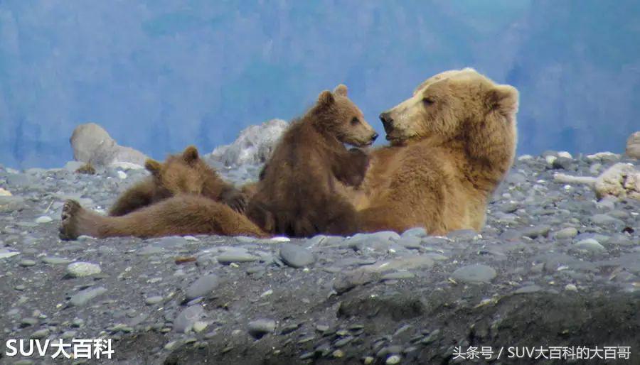 赛道、岛屿、山路还有意大利，讲个车名的工夫就带你游遍半个欧洲