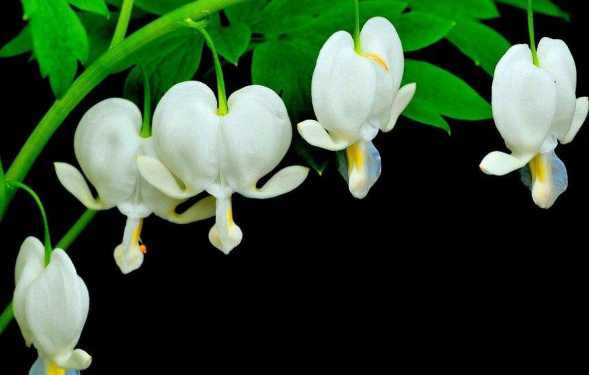 做人要有随遇而安的心态,做人进退有度随遇而安