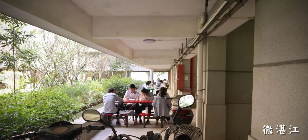 谢谢你二年级,谢谢你雷州话