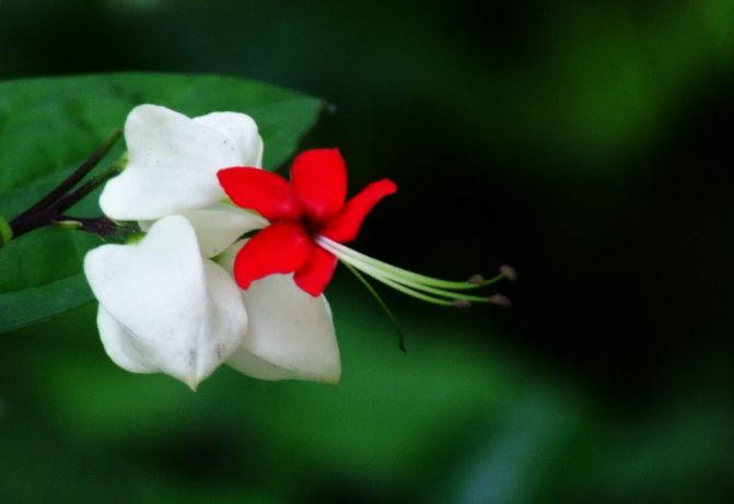 魏子昌经典诗词,魏子昌律诗全集