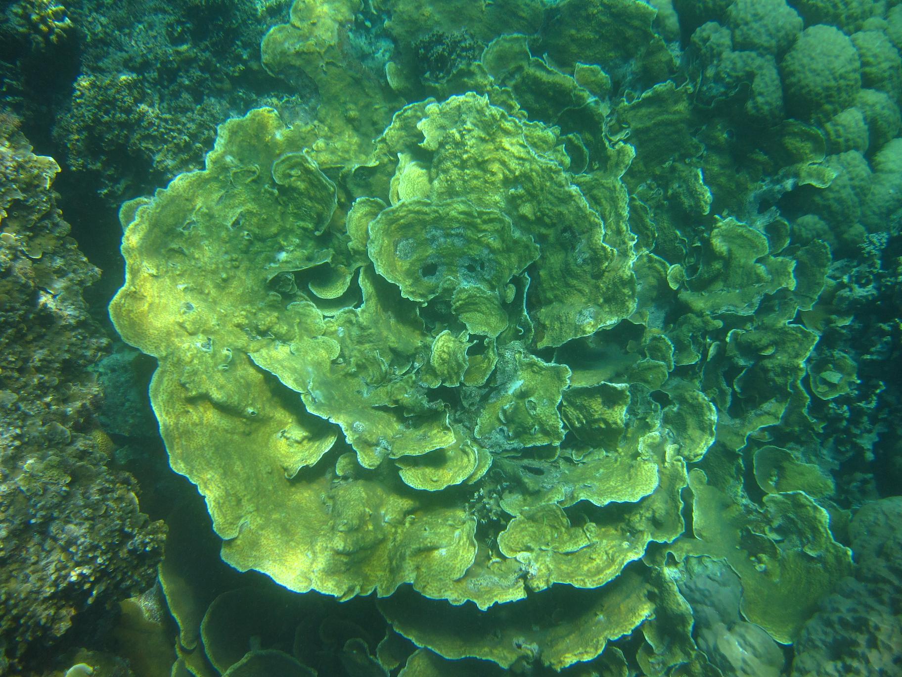 300元一天免签的国家,去哪个国家比较简单不用花钱