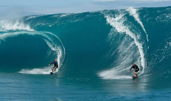 值得推荐的动作片电影,电影推荐必看经典动作片