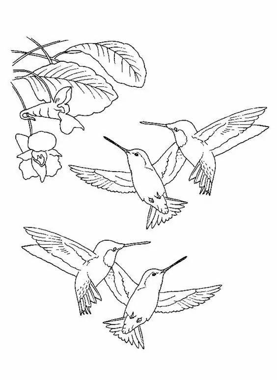 有了这些画画教程，这一年都不用买资料了