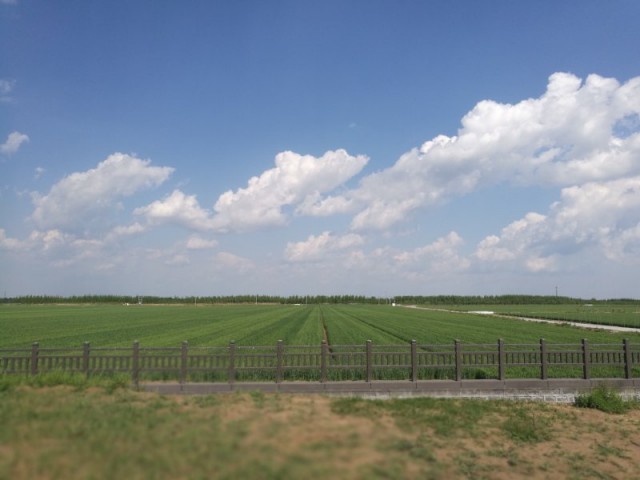 阿庆哥说济南趵突泉,阿庆讲济南