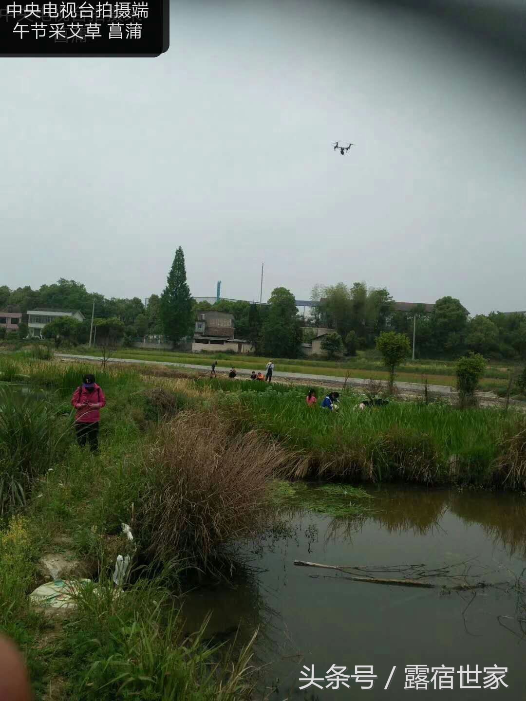 有治头晕耳鸣的西药没有,用菖蒲塞耳内能治耳鸣吗