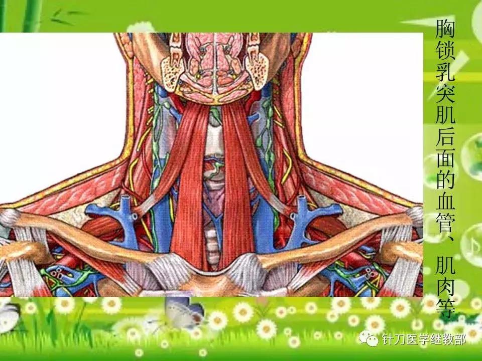 颈椎肌肉损伤用小针刀治疗,针刀治疗颈椎导致神经损伤
