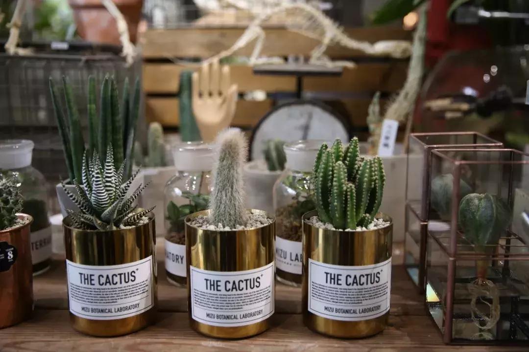 不爱回家探店,北京网红花店有哪些