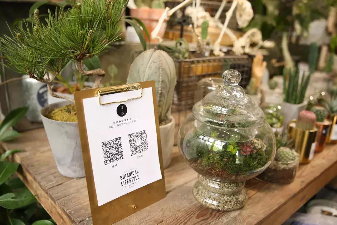 不爱回家探店,北京网红花店有哪些