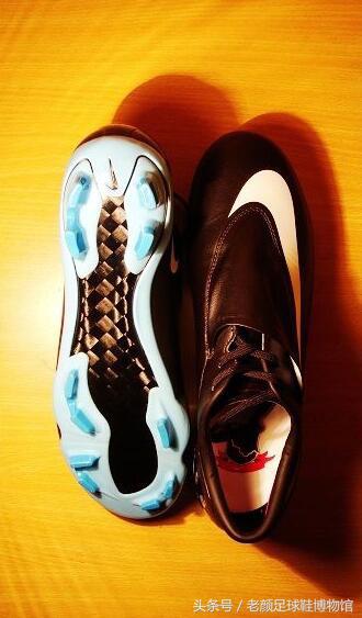 血的教训令人发指,血的教训是真的吗