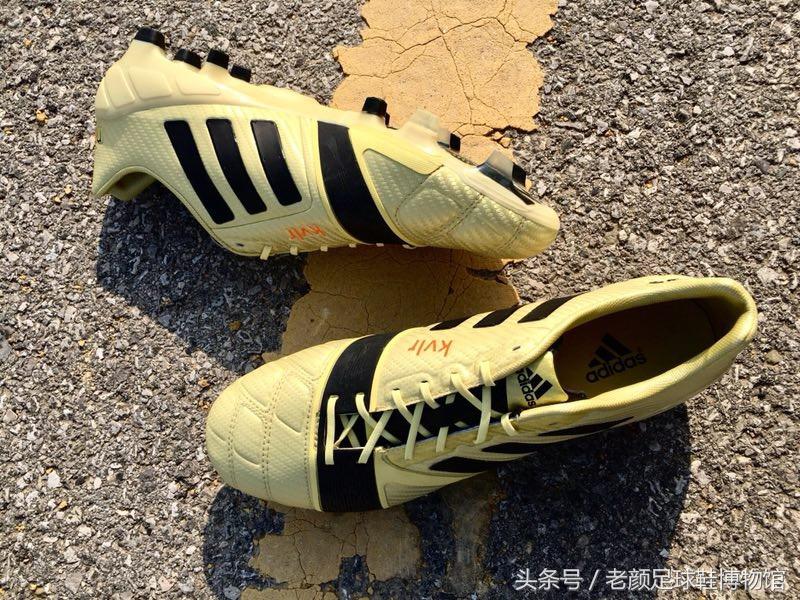 血的教训令人发指,血的教训是真的吗