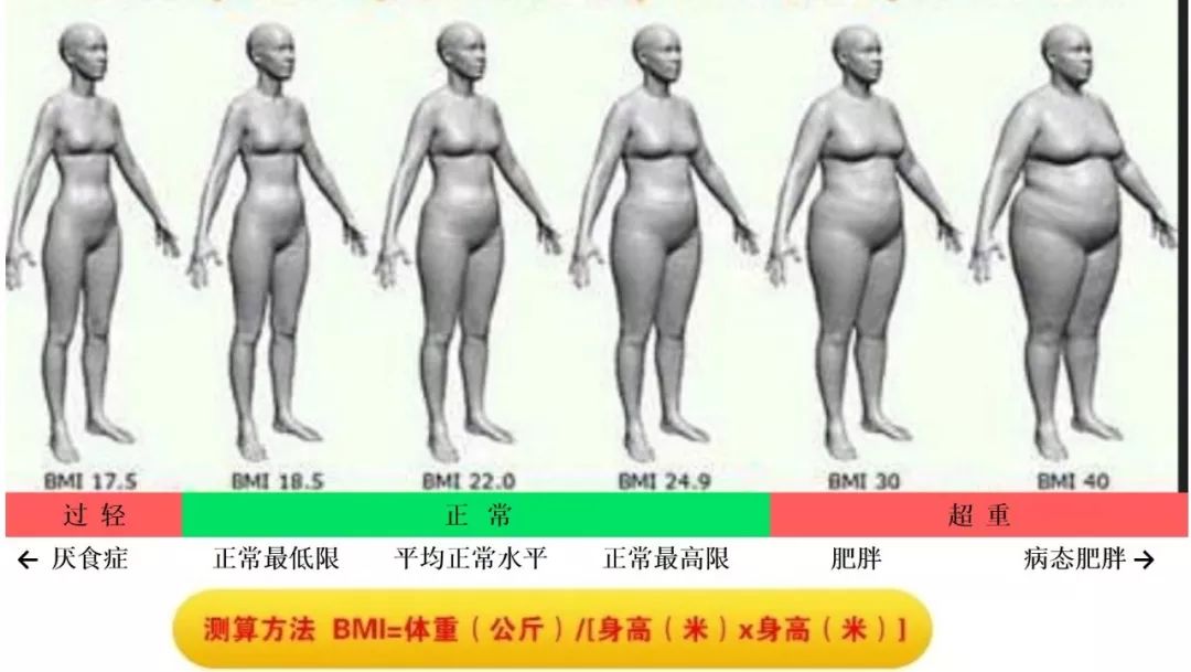 排油减脂的药是骗局吗,刮油药奥利司他
