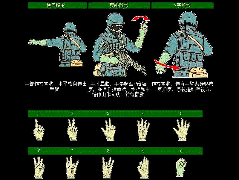 手语一只手100个手势图解,各种手语手势