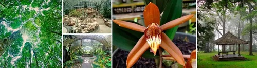 巴厘岛通关攻略,逃离巴厘岛攻略