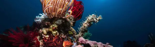 巴厘岛通关攻略,逃离巴厘岛攻略